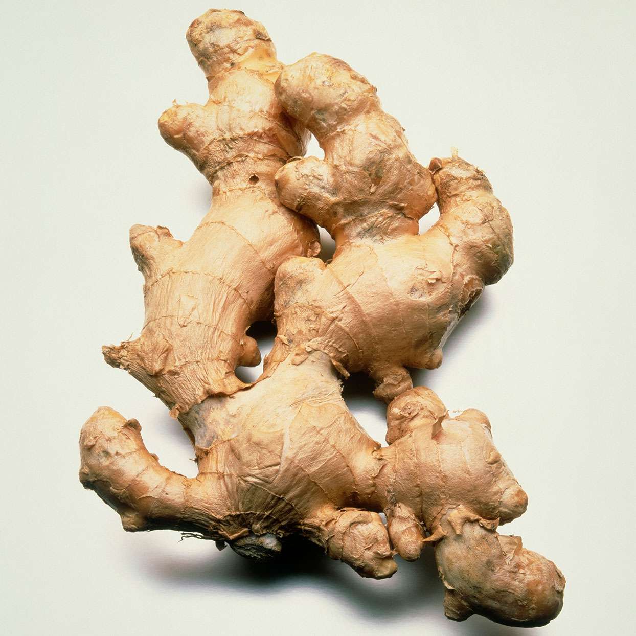 How Ginger Effects To Your body? Why Ginger Helps To Reduce Cold?